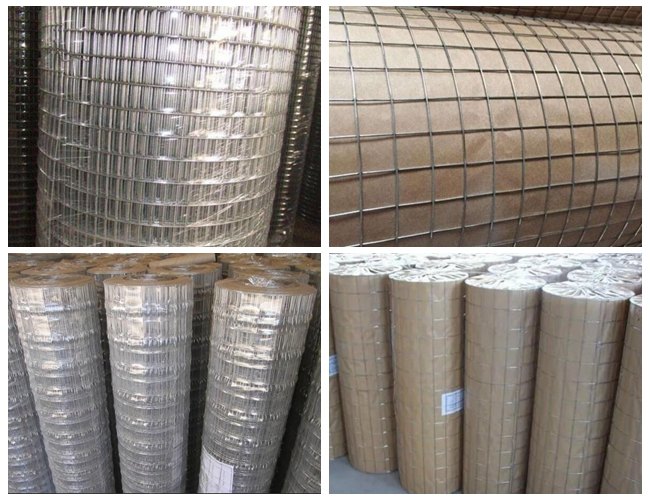 25 X 12mm 16 Gauge Welded Wire Mesh Rolls Concrete Reinforcement Wire