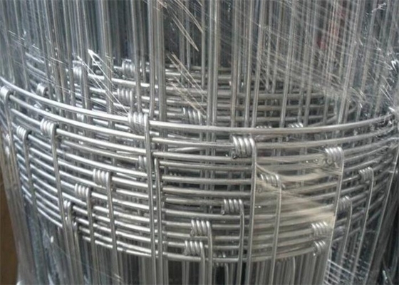 1.2m High Cattle Sheep Woven Wire Mesh Fence Galvanized Hinge Joint For Field Farm