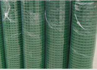 Hot Dipped Galvanized Pvc Coated Welded Wire Mesh Bwg12 For Fence