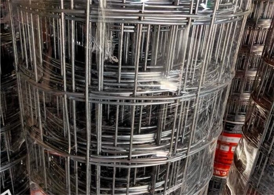 50 X 50mm Heavy Duty Welded Wire Mesh Rolls Hot Dipped Galvanised Mesh Fencing Roll