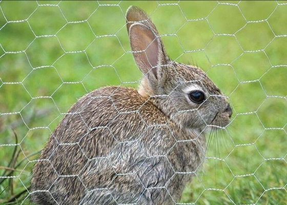 4 Ft 1/2in Chicken Wire Mesh Roll