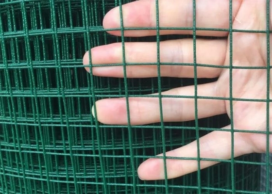 0.5in Green Pvc Coated Chicken Wire Fence 4ft X 100 Ft Poultry Netting