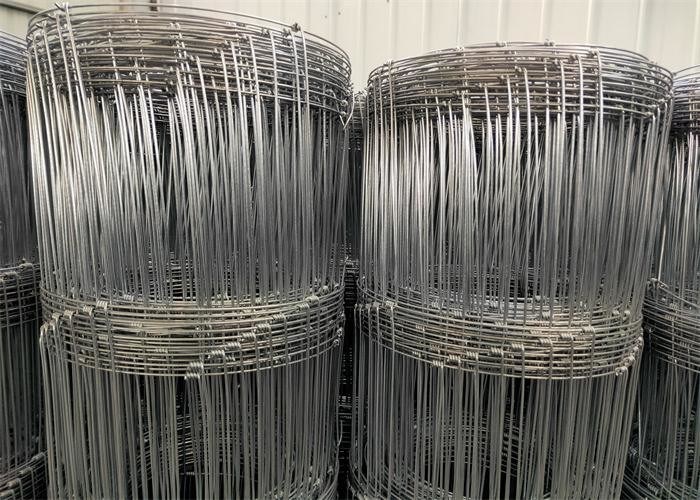 1.5m 50m Galvanized Deer Hinge Joint Wire Mesh Roll Rectangle Hole