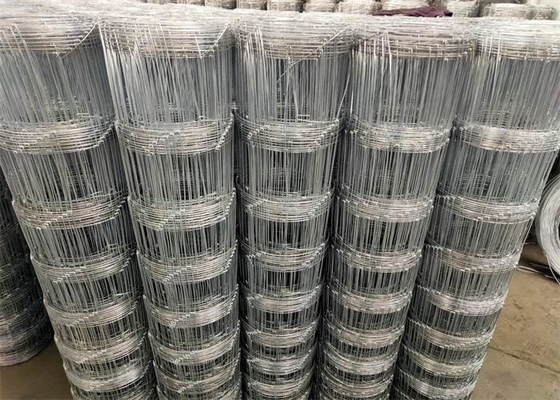 Livestock Animal Hinge Joint Wire Mesh Hot Dipped Galvanized