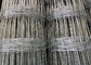 100m Galvanized Livestock Hinge Joint Wire Mesh Fencing High Tensile