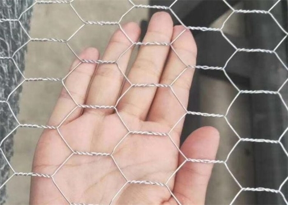 2in Galvanized Hexagonal Wire Netting Double Twist 20 Gauge Chicken Wire Mesh