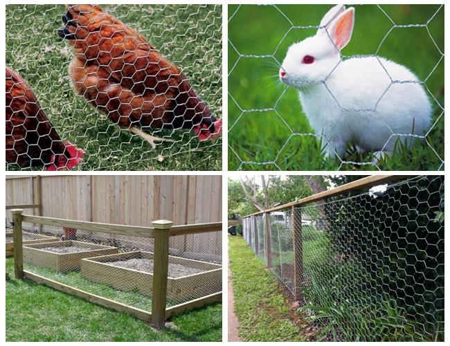 1X1 In 2mm Chicken Wire Mesh Roll 30m Rabbit Wire Mesh Fencing